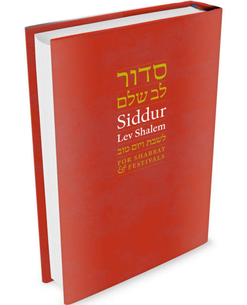 Understanding the Siddur: A Book of Both Prayer and Philosophy with ...