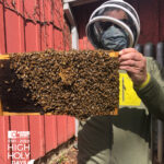 It's A Bee's Life with AES Member Leonard Rau