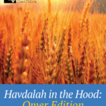 Havdalah in the Hood:  Omer Edition