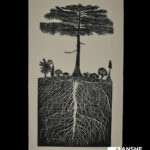 Tu Bishvat Seder with Anshe Emet's Sisterhood & Gather Group