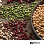 Kitnayot:  Understanding the Teshuvah Permitting Ashkenazim to Eat Kitnayot on Pesach