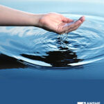 Post-Kiddush Discussion: Creative Niddah - Take 2