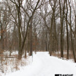 Tu Bishvat Winter Hike