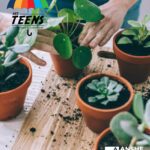 Teen Tu Bishvat Volunteering with SelfHelp