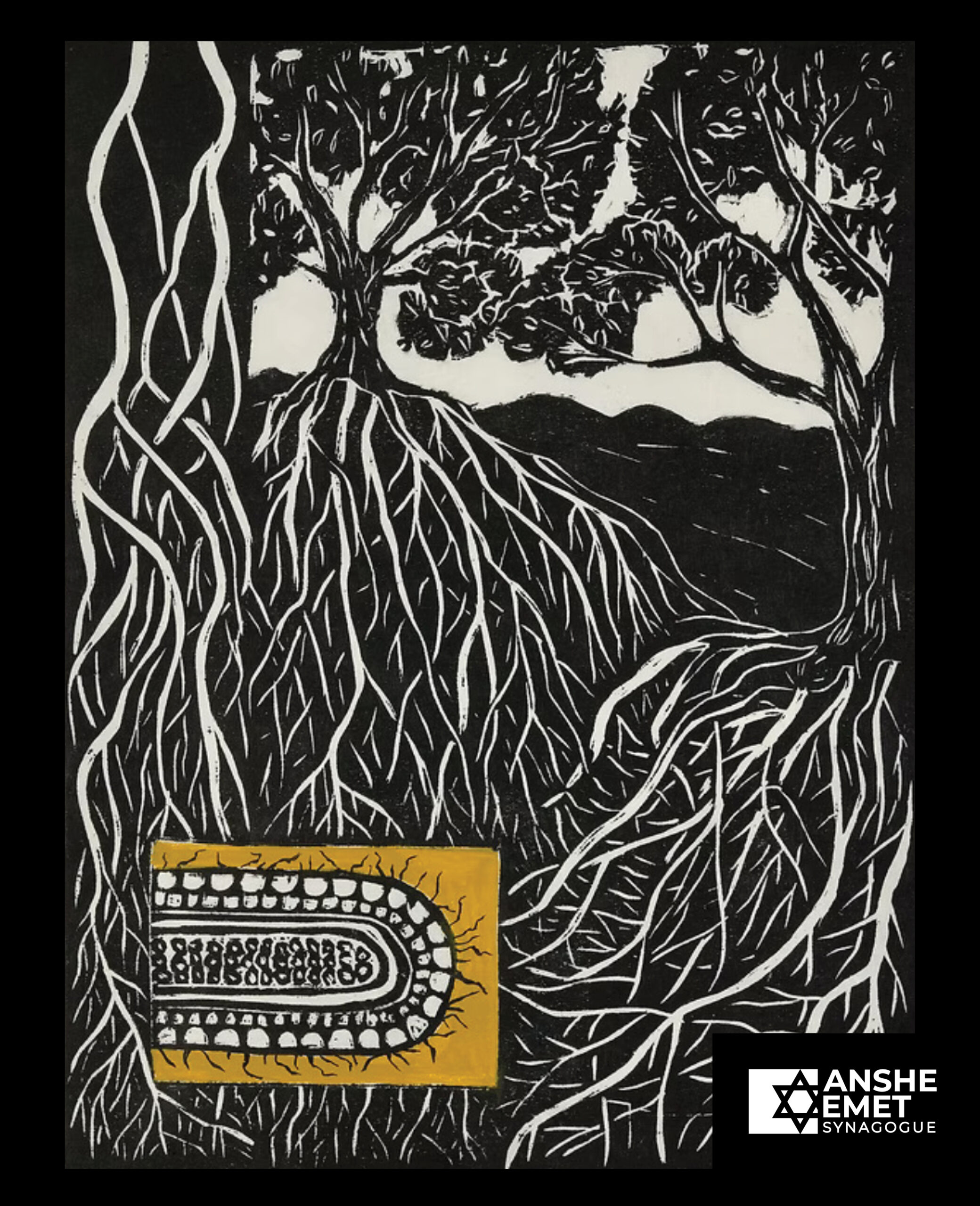 Gabriella Boros Artist Talk at Peggy Notebaert Nature Museum