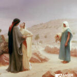 A Text Study on the Book of Ruth